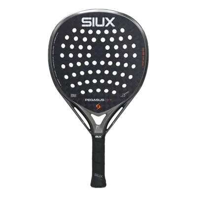 Siux Pegasus Pro 2026